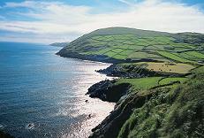 Cork